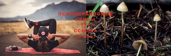 меф Краснослободск