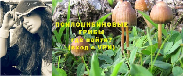 ECSTASY Кулебаки